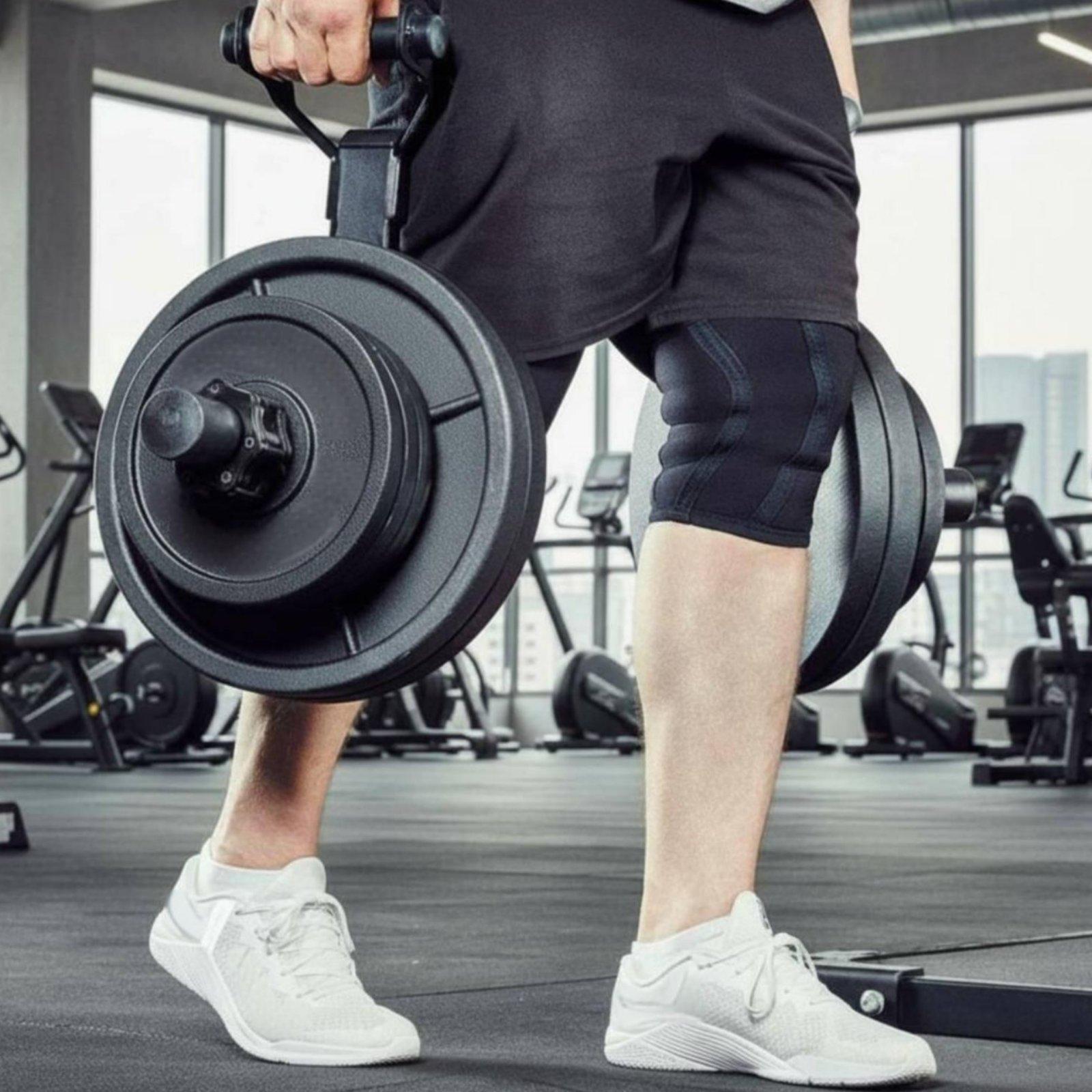 Rak Penyimpanan Pelat Barbel M - Home Gym Gym Equipment ulasan dan harga
