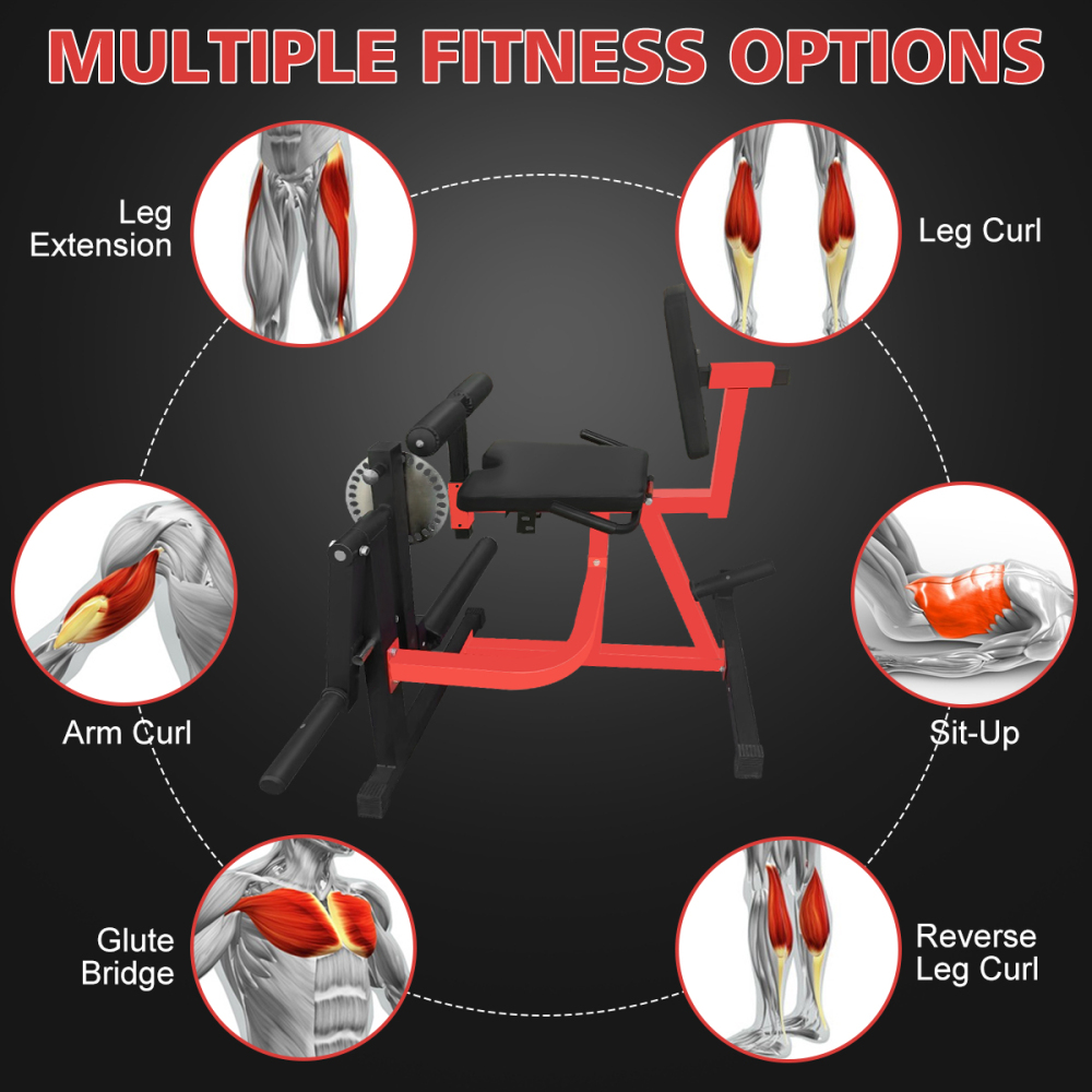 Mesin Ekstensi dan Curl Kaki y - Home Gym Leg Extension Machine ulasan dan harga