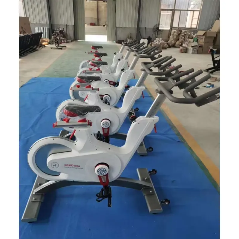 Sepeda Spinning Magnetik Profe - Home Gym Fitness ulasan dan harga