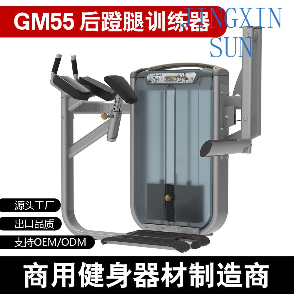 Mesin Latihan Punggung, Paha,  - Home Gym Leg Extension Machine ulasan dan harga
