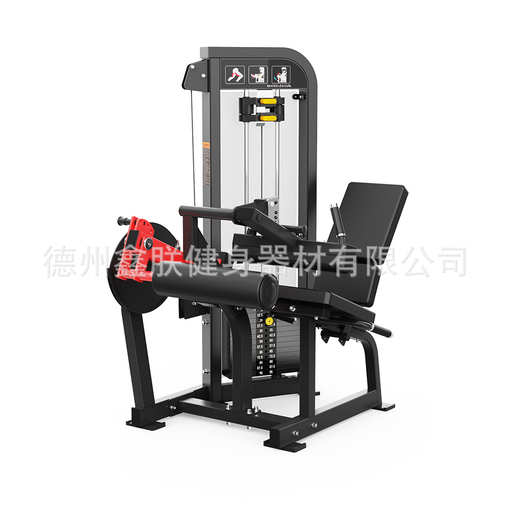 Peralatan Gym Hammer Strength, - Home Gym Leg Extension Machine ulasan dan harga