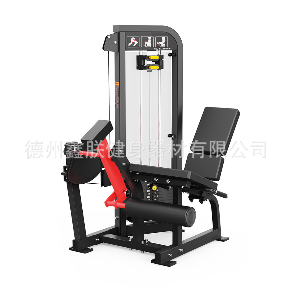 Peralatan Gym Hammer Strength, - Home Gym Leg Extension Machine ulasan dan harga