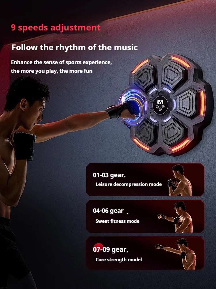 Target Tinju Dinding yang Dapa - Home Gym Wall Mounted ulasan dan harga