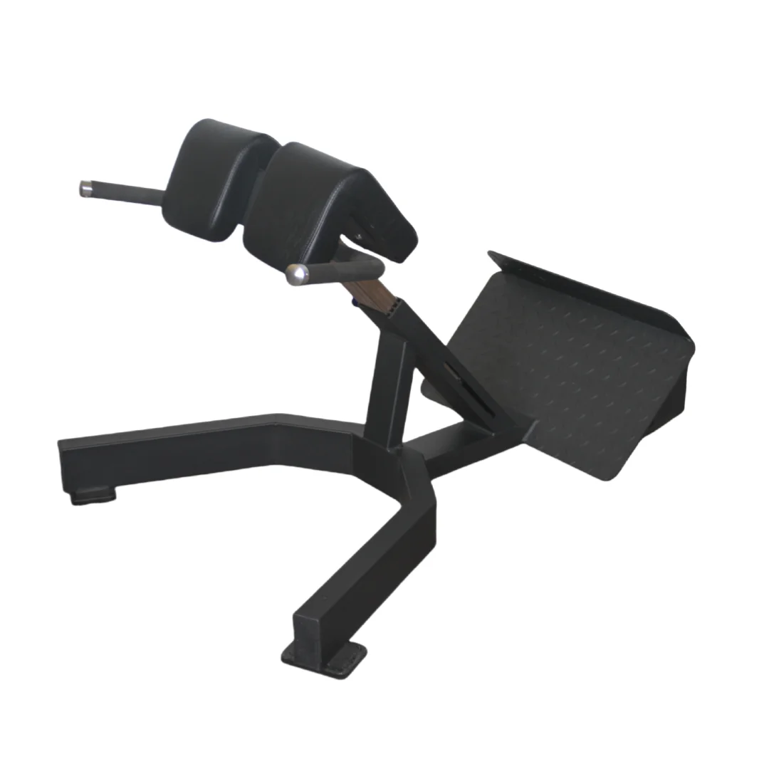 Alat Latihan Punggung Roman Ch - Home Gym Leg Extension Machine ulasan dan harga